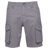 Pánské kraťasy Loap VARUM, šedá T05T